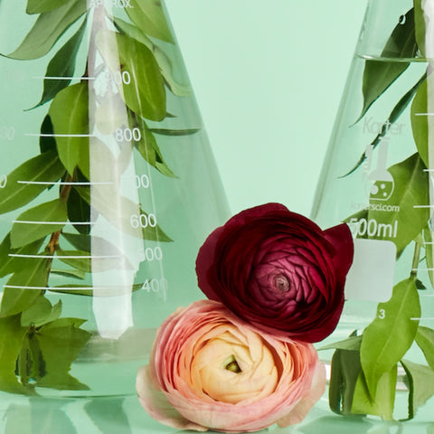 flowers and herbs in a beaker