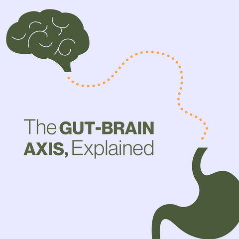 The Gut-Brain Axis, Explained