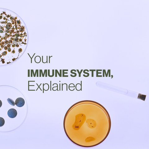 Your Immune system, Explained