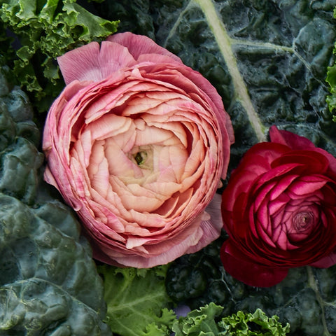 Flowers against green background