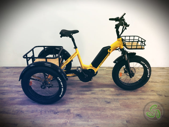 electric e trike