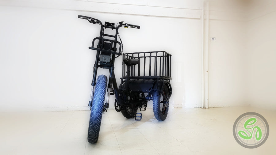 sway tilting electric trike price