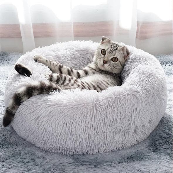 marshmallow cat bed