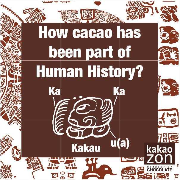 Text asking how cacao has been a part of human history with an ancient Mayan symbol for the word "kakau" below it.
