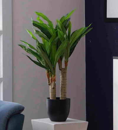 Polinización Planta Dracaena Artificial Decorativa Sin Maceta (Pack de – Flores y Plantas Artificiales - PolliNation