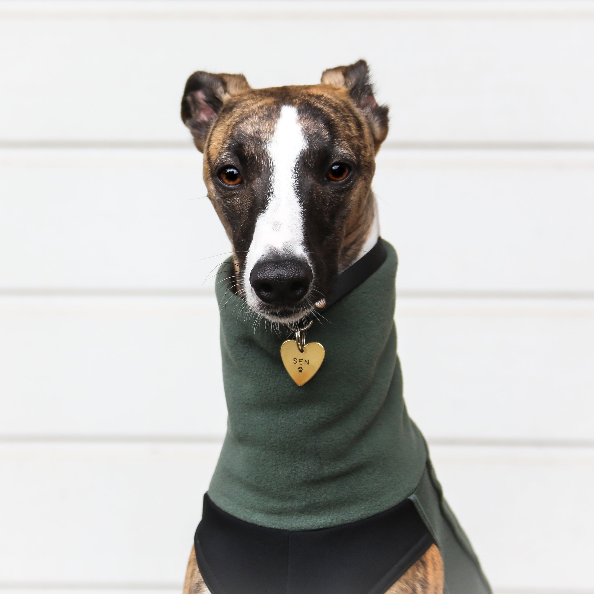 sighthound fleece