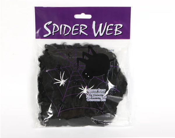 Halloween Spider Web with Optional Spiders 4