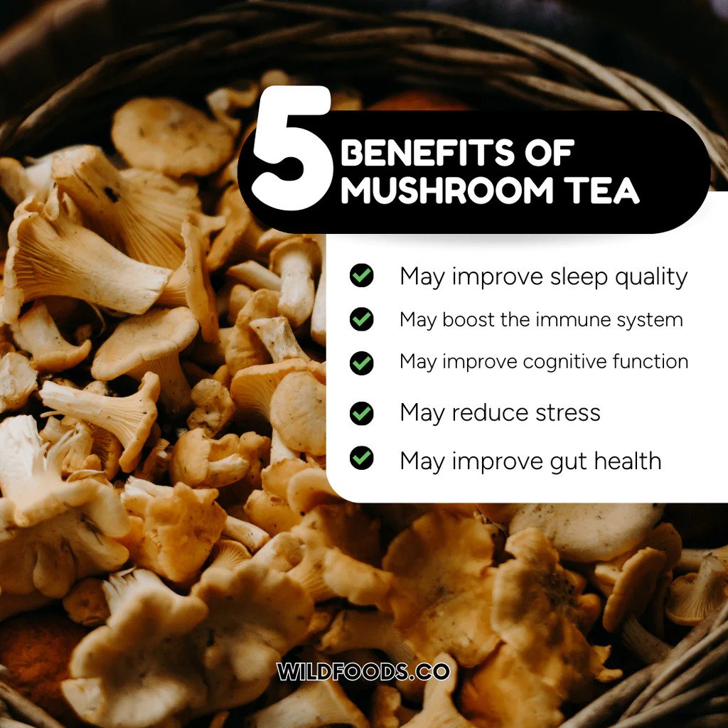 5-benefits-of-mushroom-tea