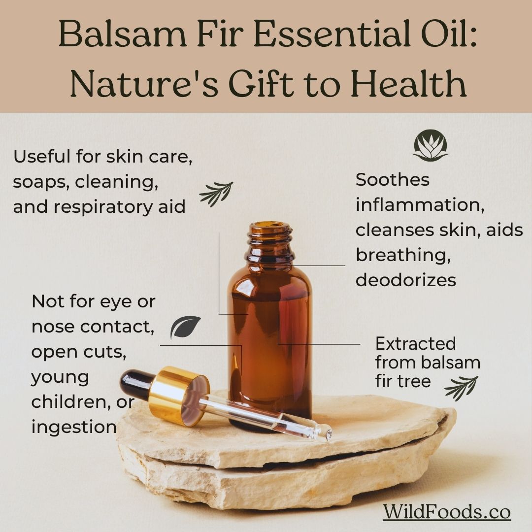Balsam-Fir-Essential-Oil-Nature's-Gift-to-Health