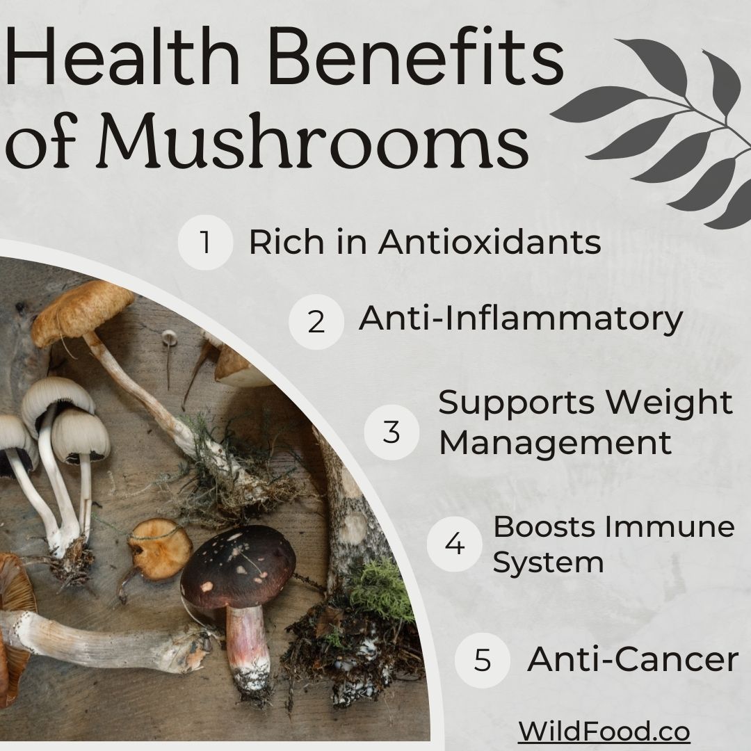 Health-Benefits-of-Mushrooms