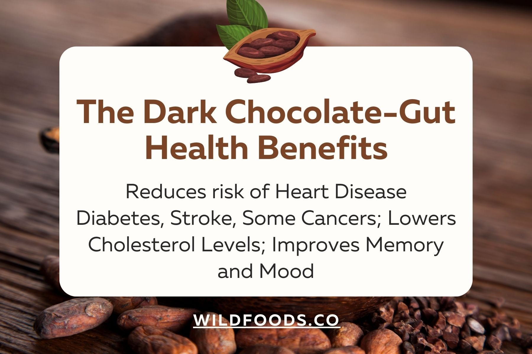 The-Dark-Chocolate-Gut-Health-Benefits