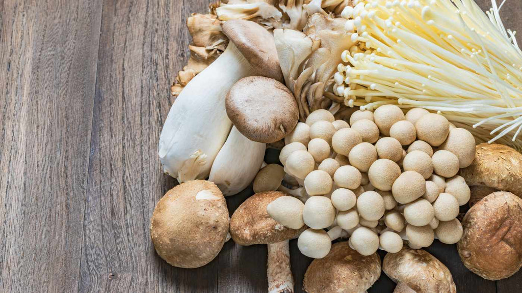 What are Adaptogenic Mushrooms