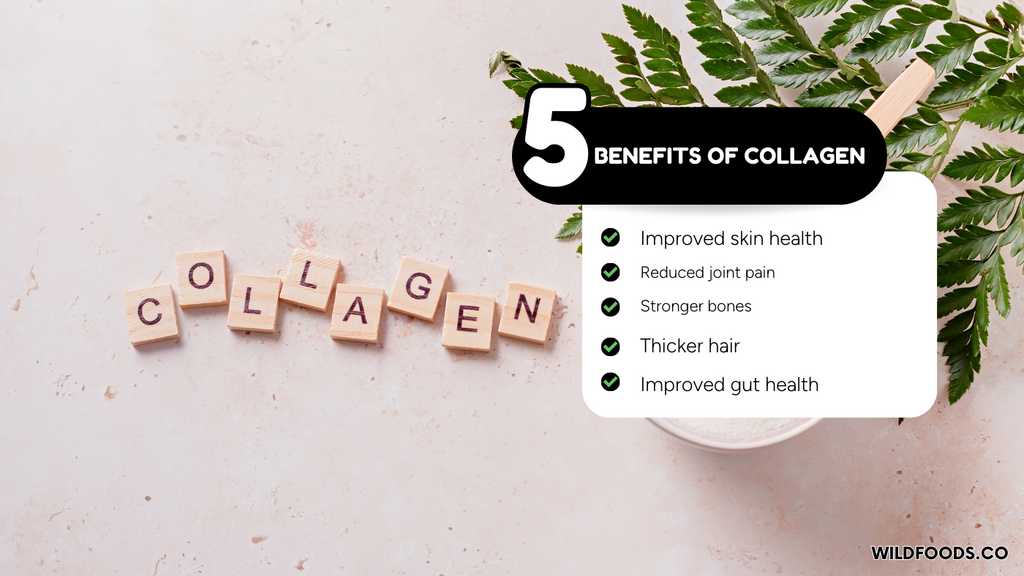 collagen-as-protein