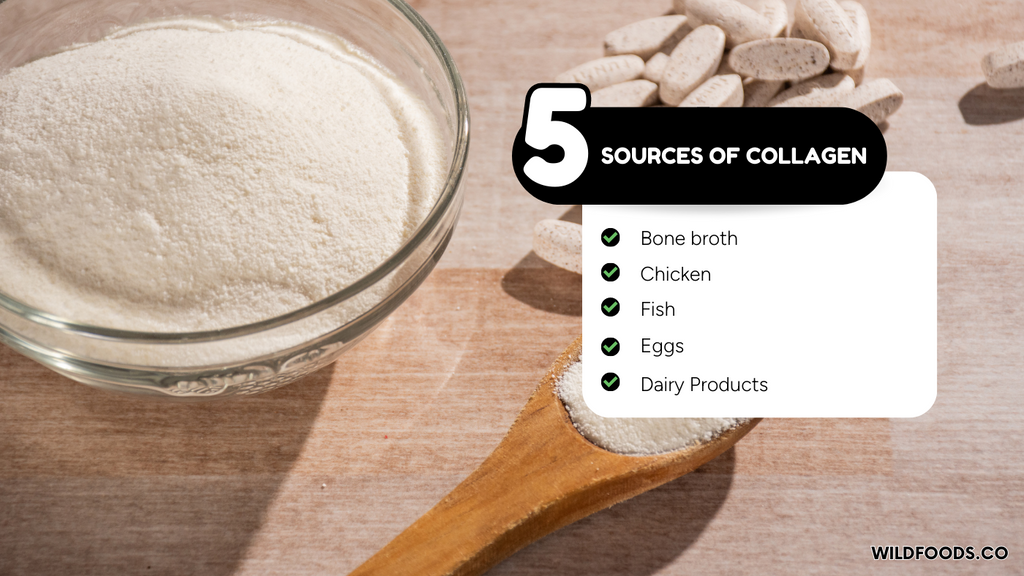 sources-of-collagen