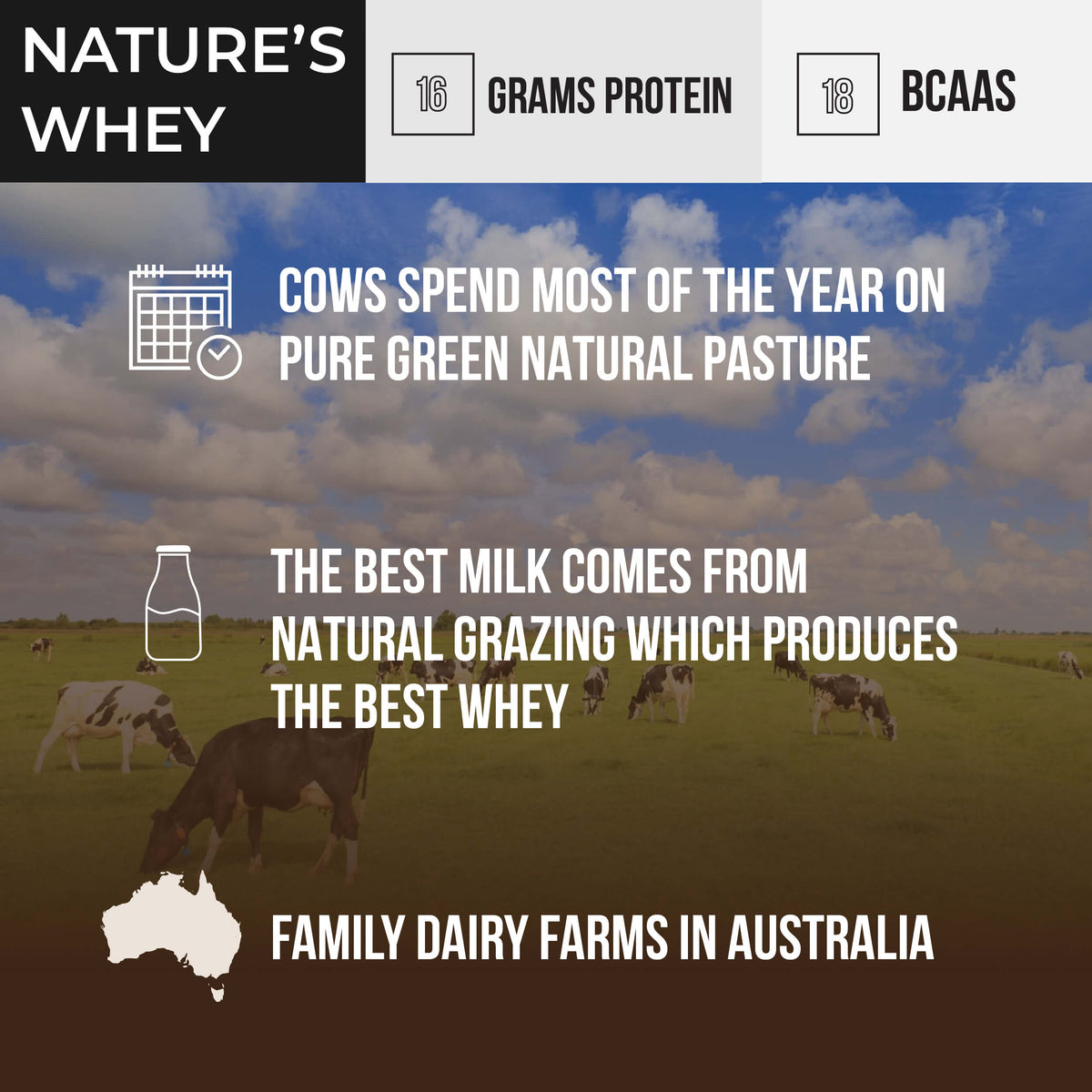 Cold Process Grass-Fed Whey Protein, Non-denatured, Pasture-Raised Cows