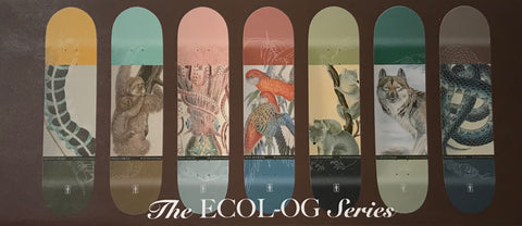 Girl-ecol-OG-Skateboards-