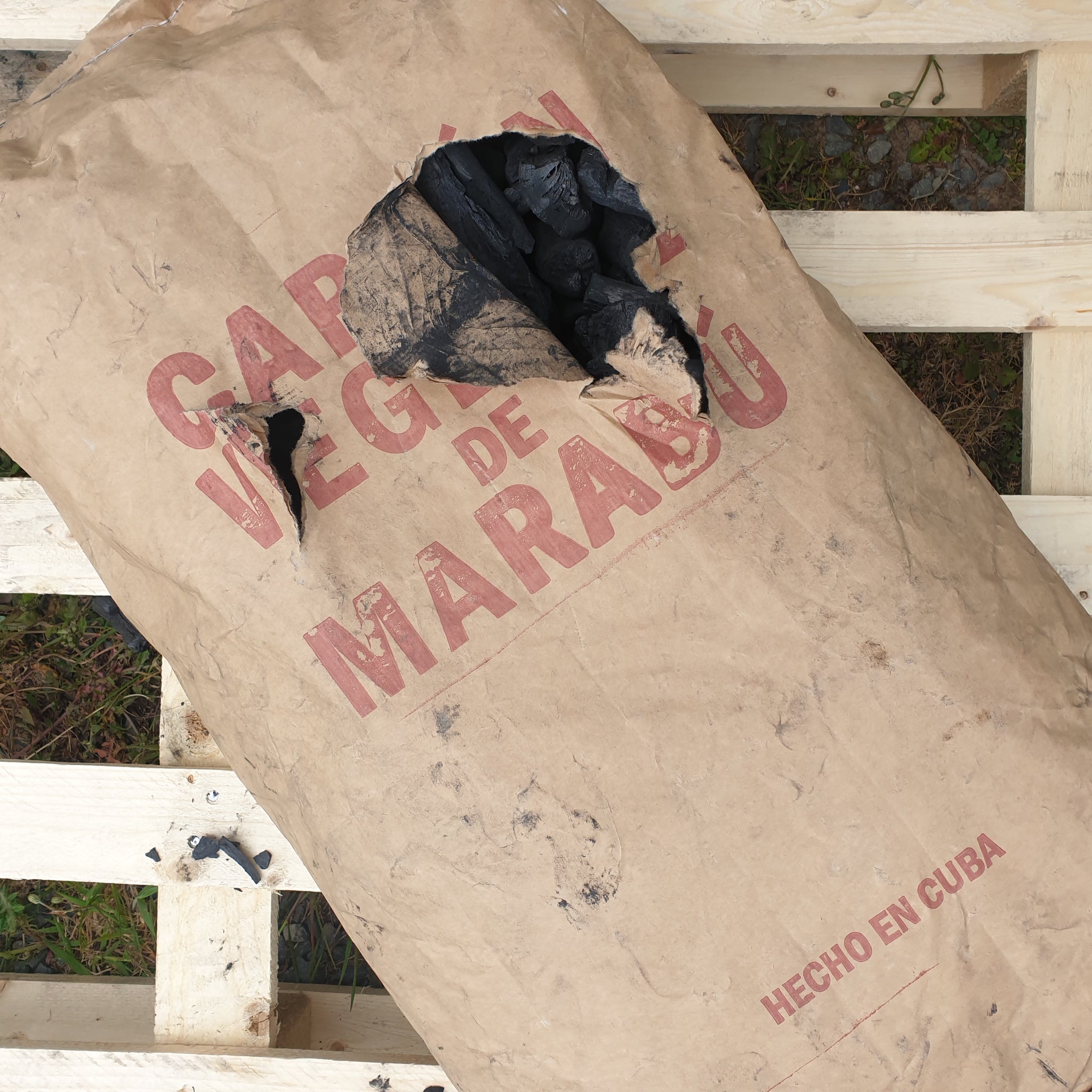 Cuban Marabu Charcoal