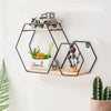 Wall Floating Hexy Metal Frame Decor