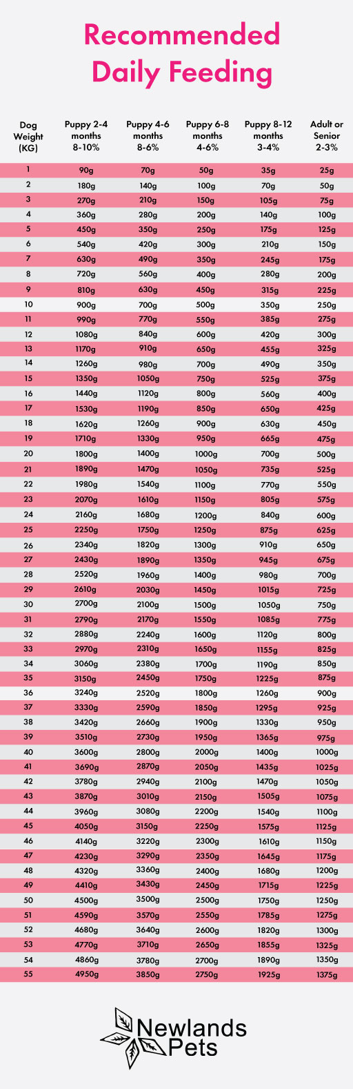 Dog Feeding Guide: Daily Food Chart & FAQs