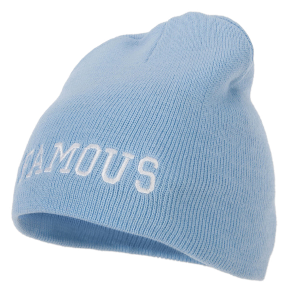 Famous Embroidered Design 8 Inch Knitted Short Beanie - Sky Blue OSFM