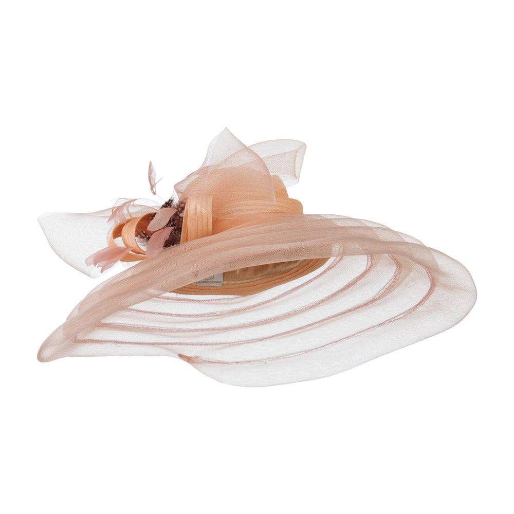 Taffeta Braid Horse Hair Organza Hat - Champagne OSFM