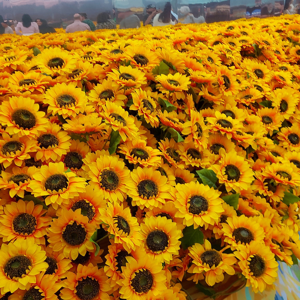 Van Gogh Alive sunflowers