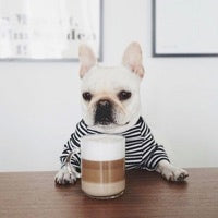 Caffeine coffee tea dangerous for dogs