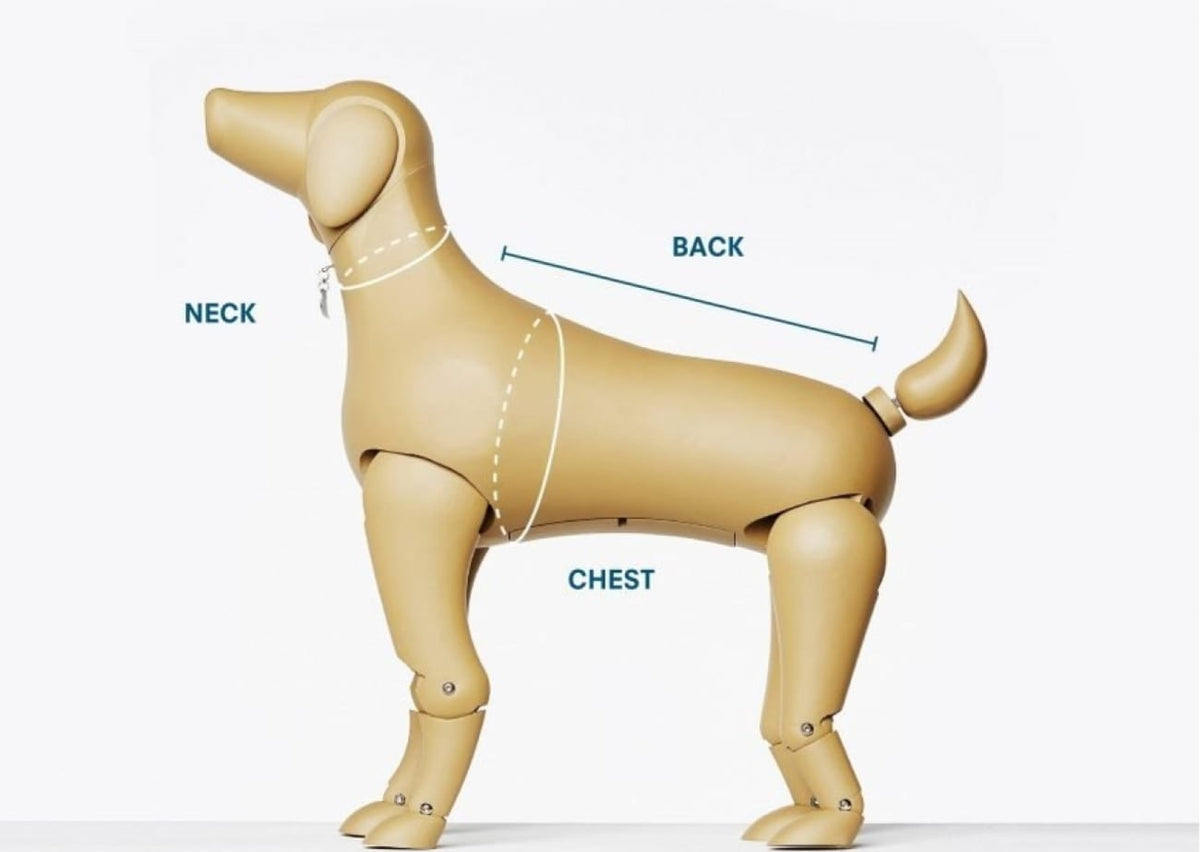 When selling dog harnesses, we suggest our clients use this guide