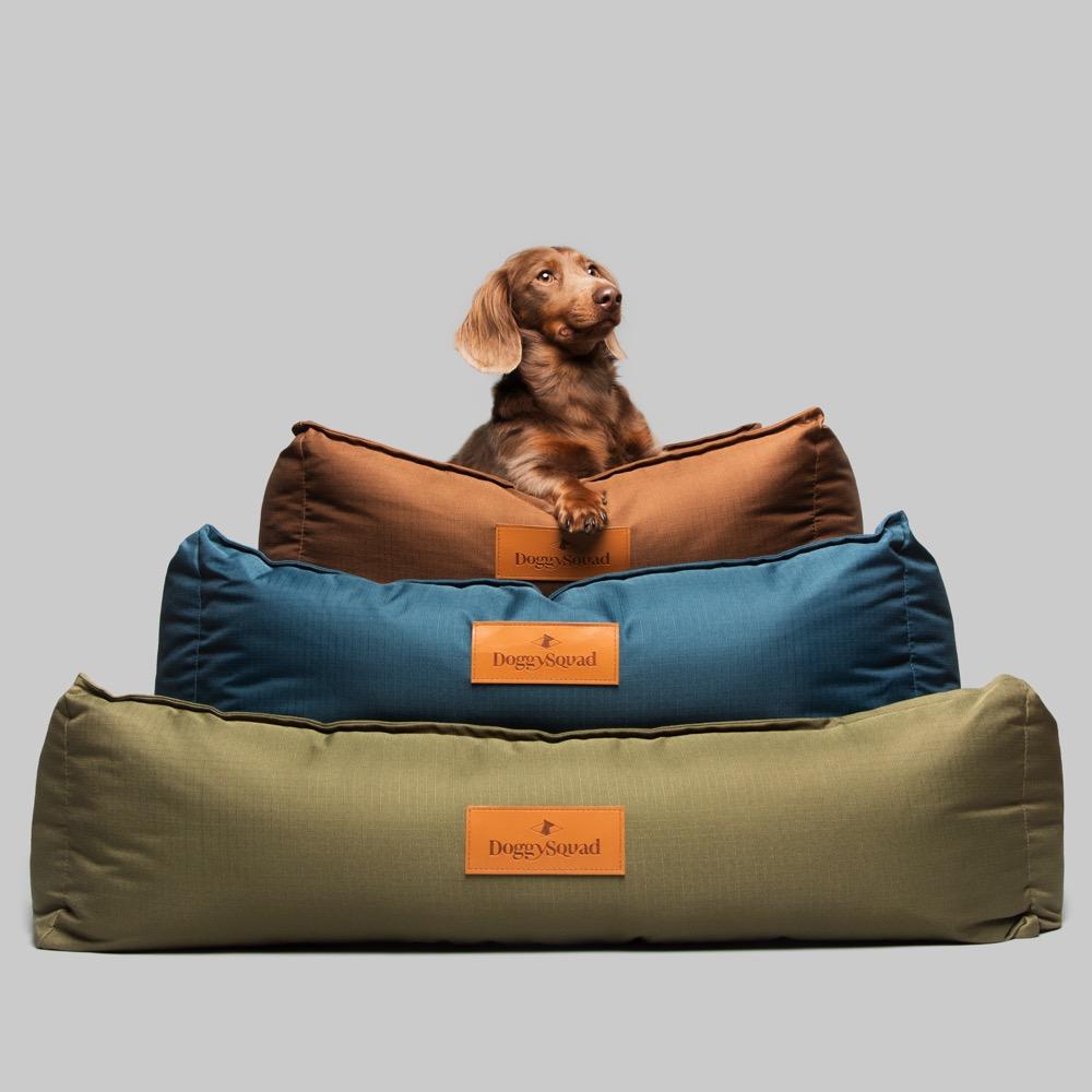 Every kennel club needs a good dog bed to sleep in!