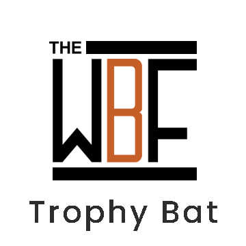 Custom Engraved & Hand Painted Fantasy Whale Wood Trophy Bat – The Wood Bat  Factory