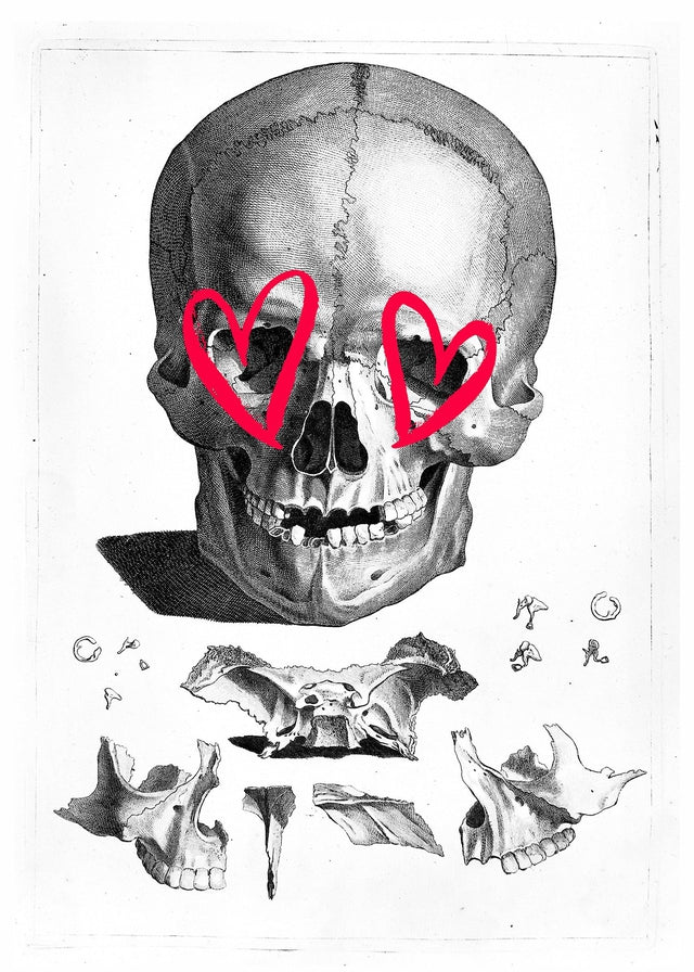 vintage skull art