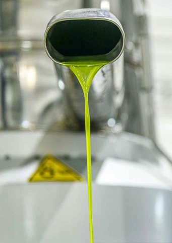 Tips to Identify High-Quality Olive Oil