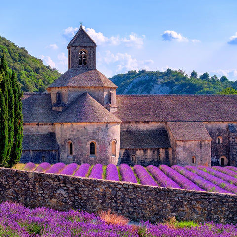 Provence 