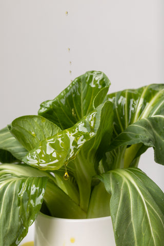 Drizzled Vinaigrette