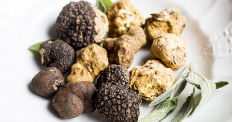 Fresh Truffles: an underground favorite