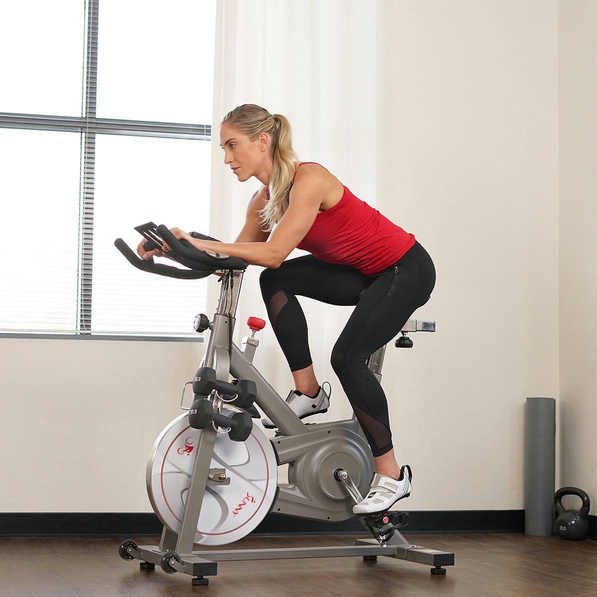 synergy magnetic indoor cycling bike