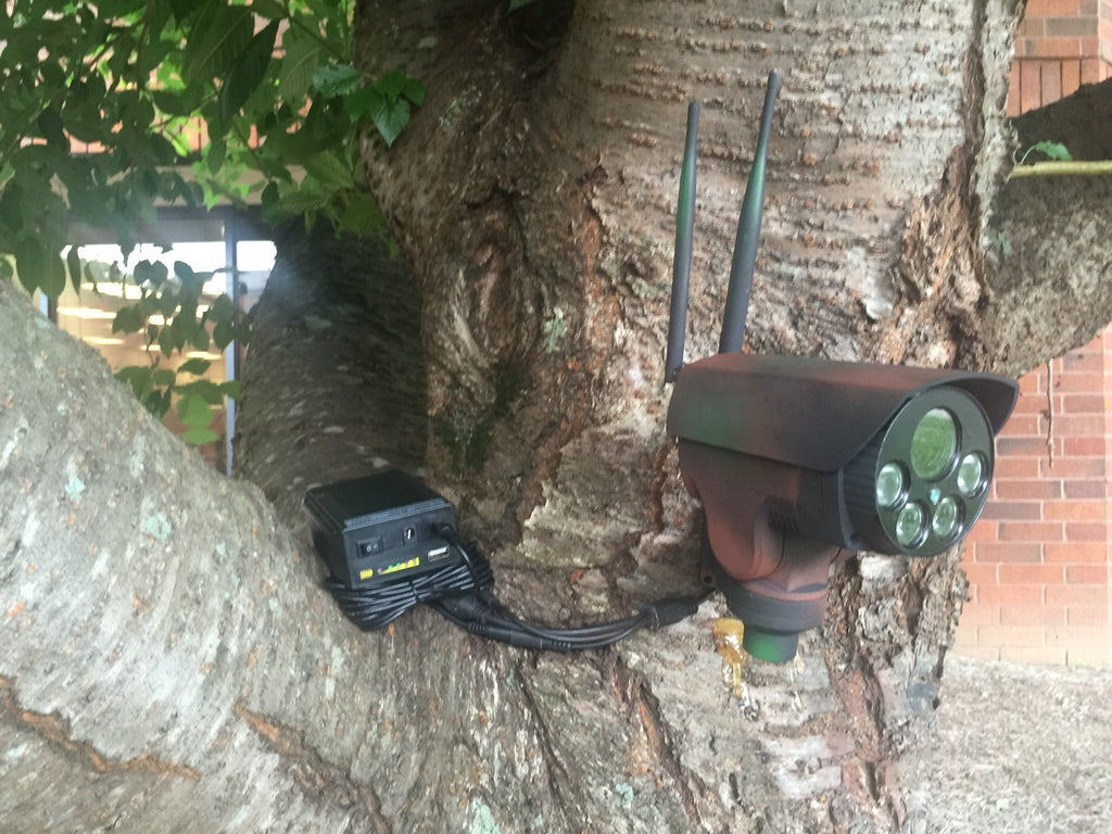 deployable infrared security camera in the tree