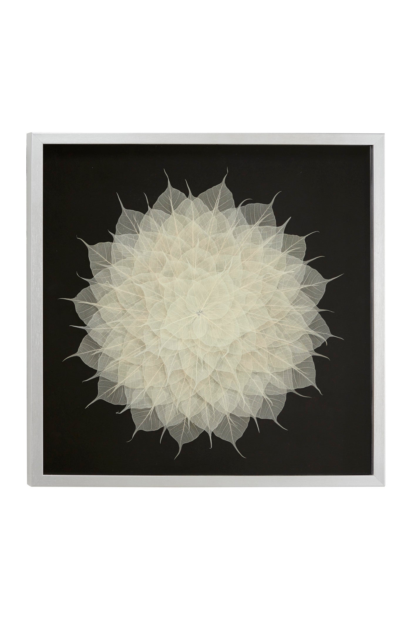 Uma White Leaf Mandala Natural Wall Decor Shadow Box 67394