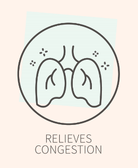 Relieves Congestion icon, for Ivy Leaf Skincare blog