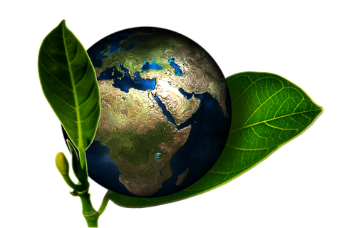 Globe in plant leaf, for Ivy Leaf Skincare blog