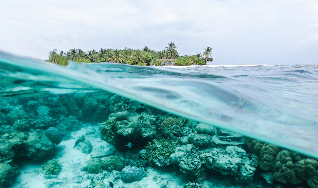 Coral reef protected by REEF-SAFE SUNSCREENS WITH MINERAL BASE