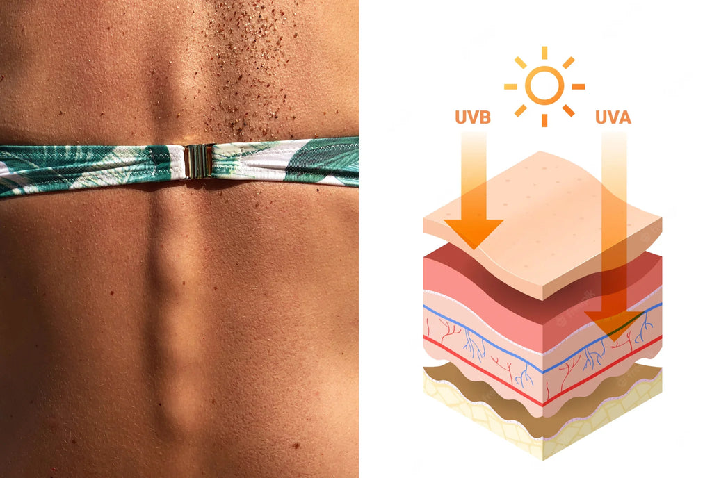 zwei Arten von UV-Strahlung, die für unsere Haut schädlich sein können: UVA und UVB. Raw Elements erklärt