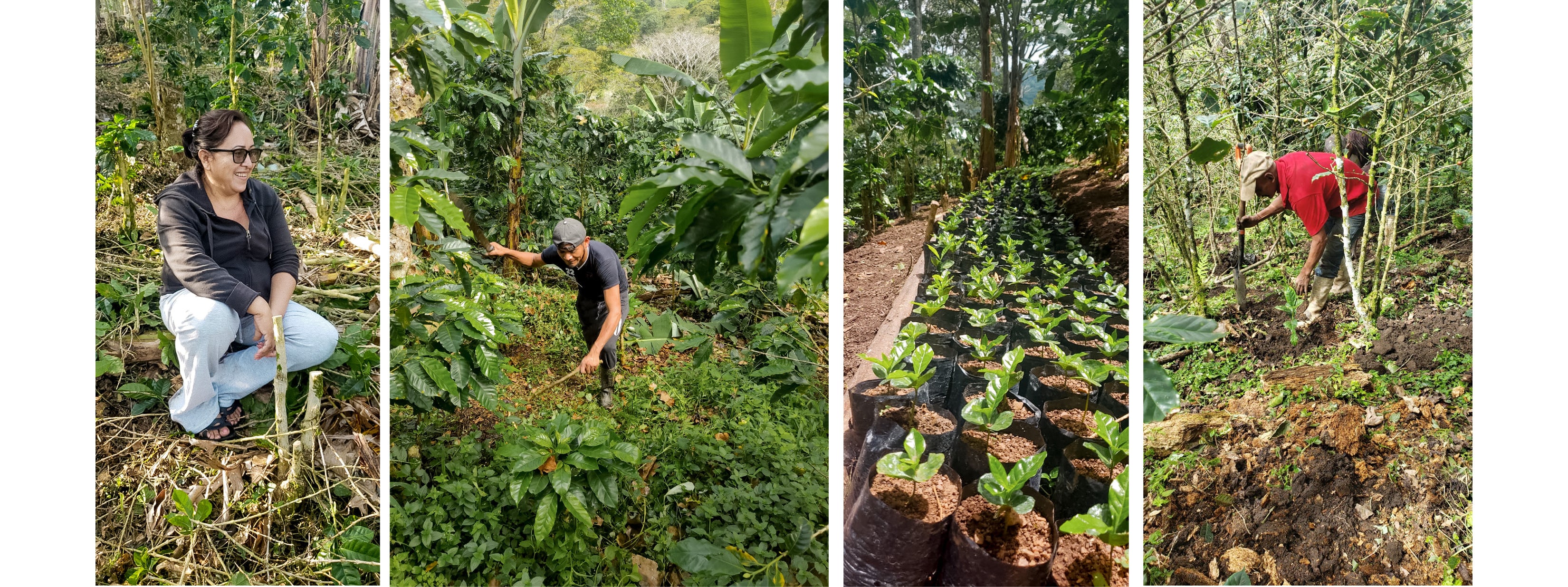 Alexa Marin, Small Scale Coffee Farmer, Nicarauga, PRODECOOP