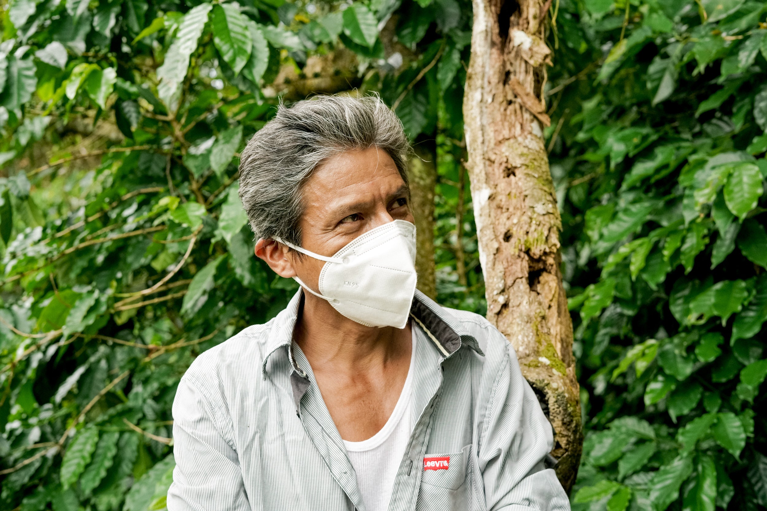 small scale coffee farmer 