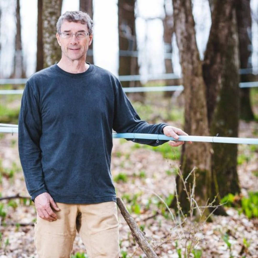 Maple producer stands next to maple trees