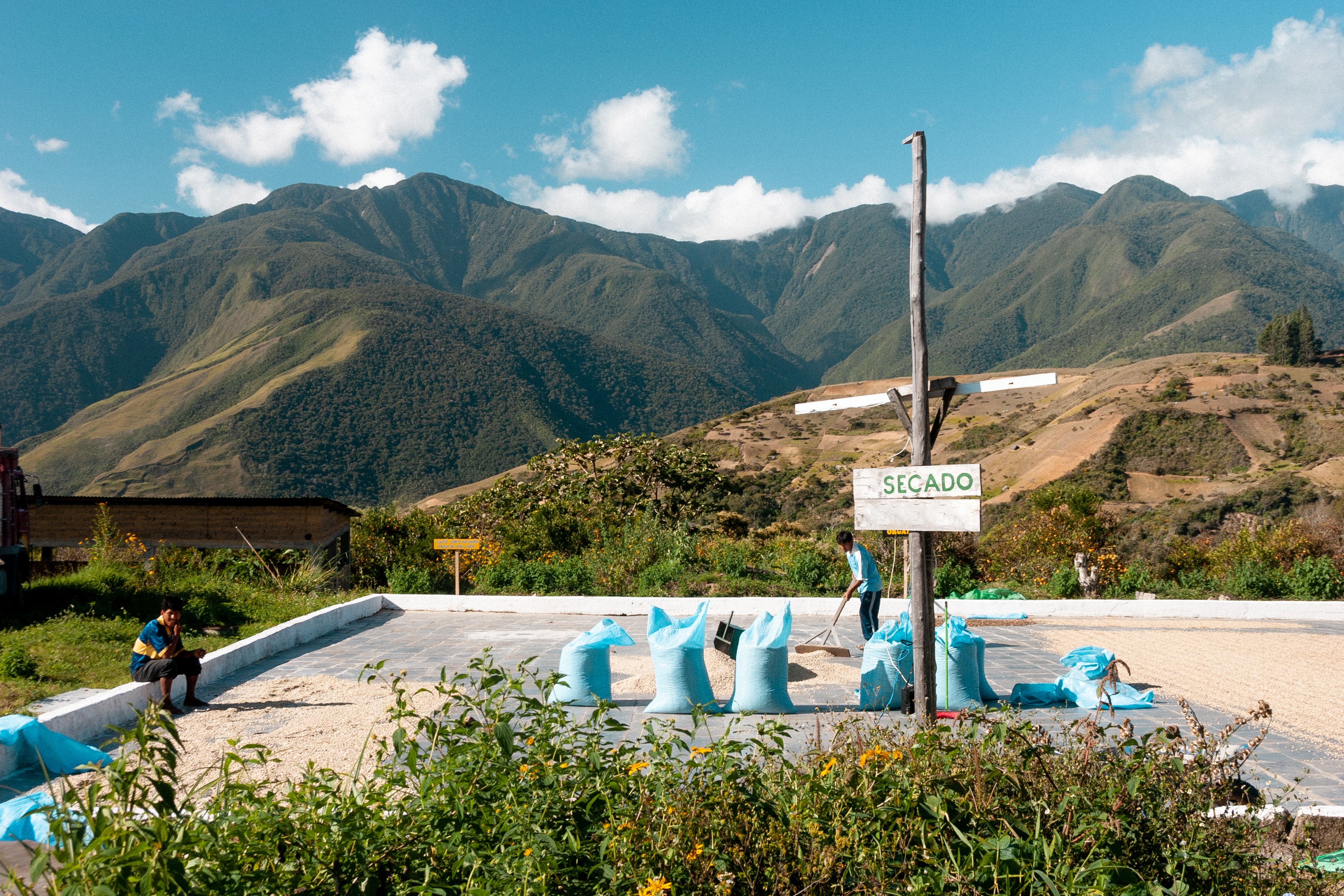 Coffee processing, Bolivia 