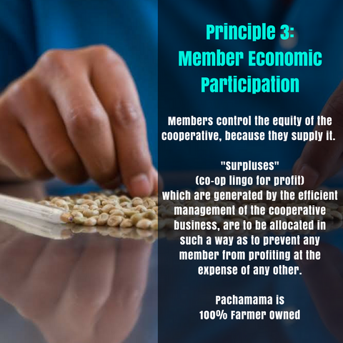 Principle 3: Member Economic Participation