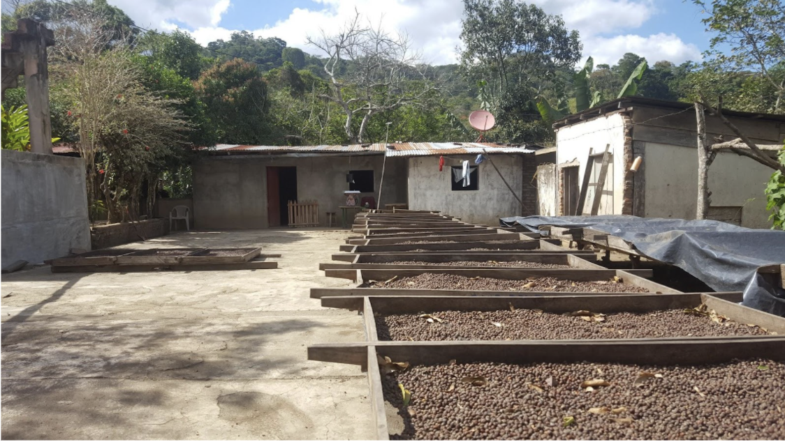 Rio Coco Nicaragua, Coffee Mill