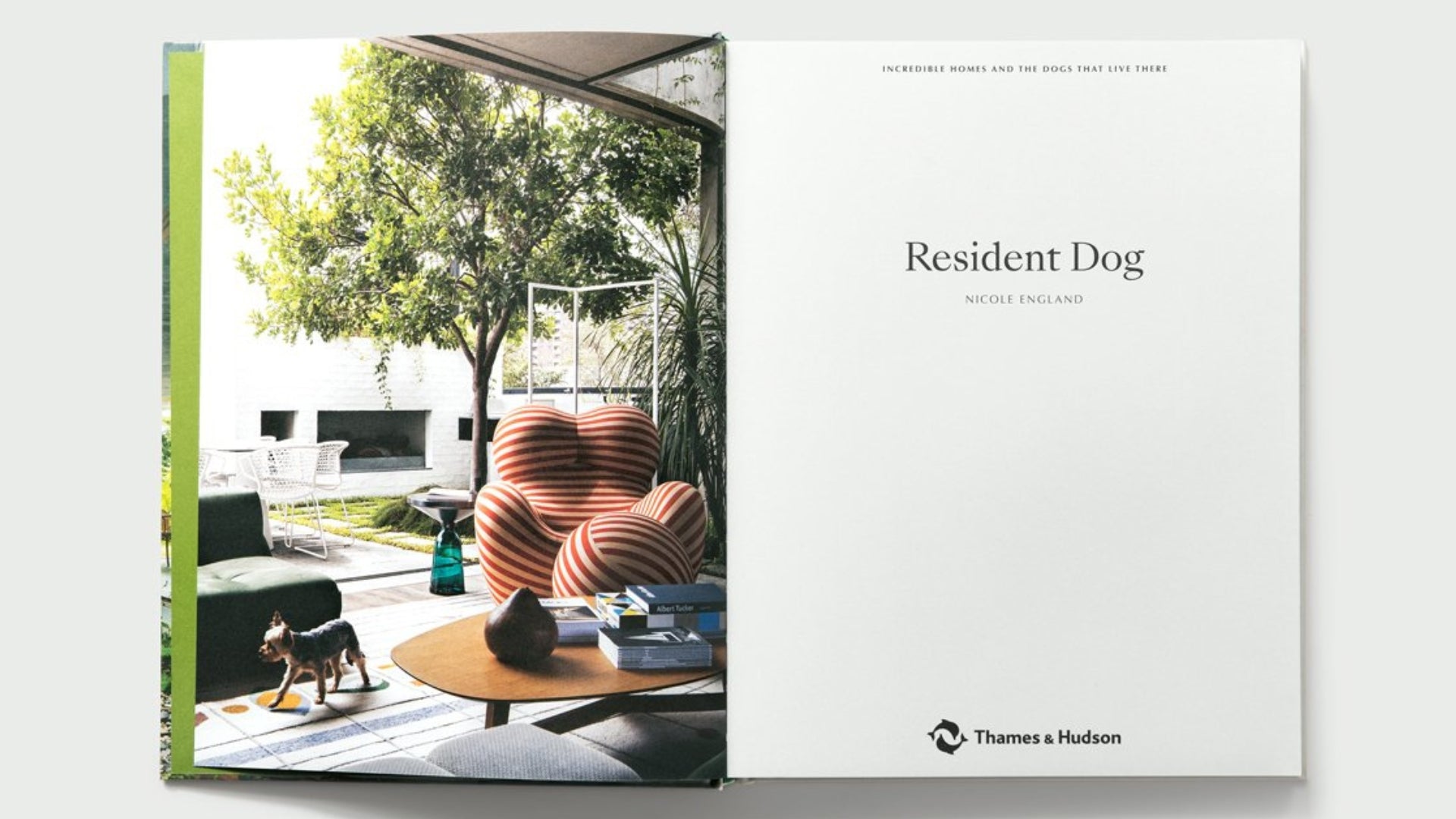 Resident Dog coffee table book