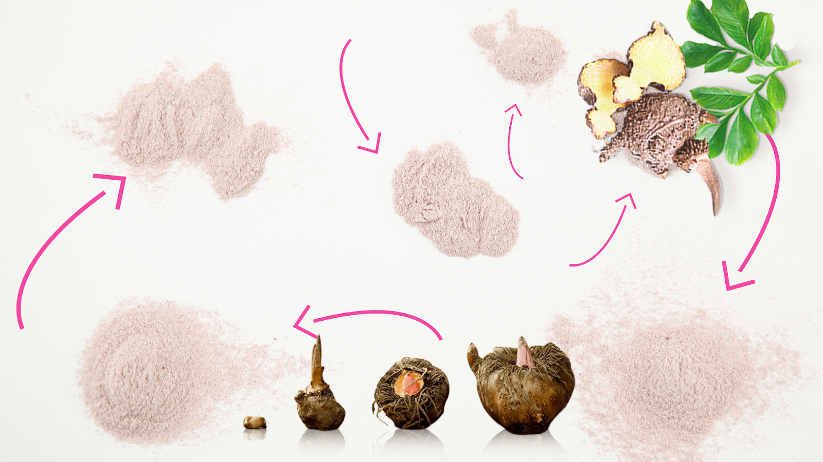 Glucomannan: What Is It And How Does It Work? | Boomblog | Boombod ...